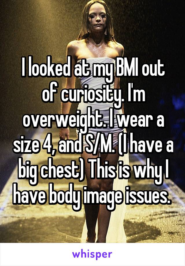 I looked at my BMI out of curiosity. I'm overweight. I wear a size 4, and S/M. (I have a big chest) This is why I have body image issues. 