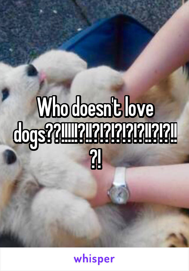 Who doesn't love dogs??!!!!!?!!?!?!?!?!?!!?!?!!?!