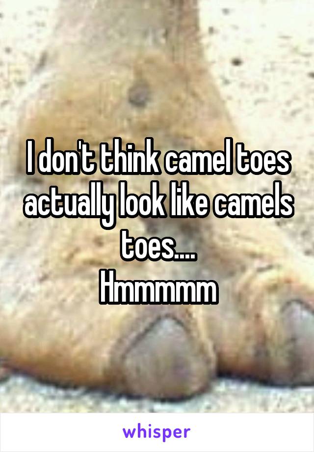 I don't think camel toes actually look like camels toes....
Hmmmmm