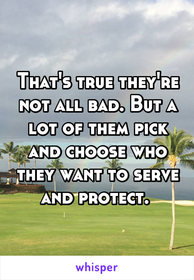 That's true they're not all bad. But a lot of them pick and choose who they want to serve and protect. 