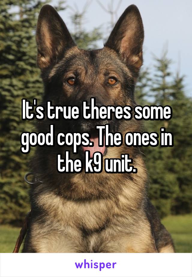 It's true theres some good cops. The ones in the k9 unit.