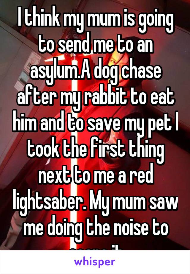 I think my mum is going to send me to an asylum.A dog chase after my rabbit to eat him and to save my pet I took the first thing next to me a red lightsaber. My mum saw me doing the noise to scare it