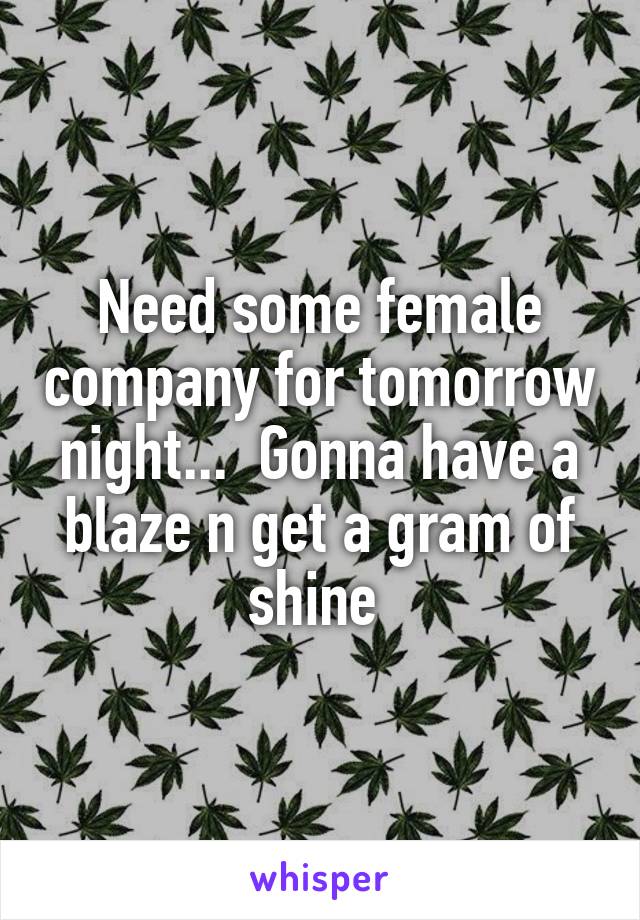 Need some female company for tomorrow night...  Gonna have a blaze n get a gram of shine 