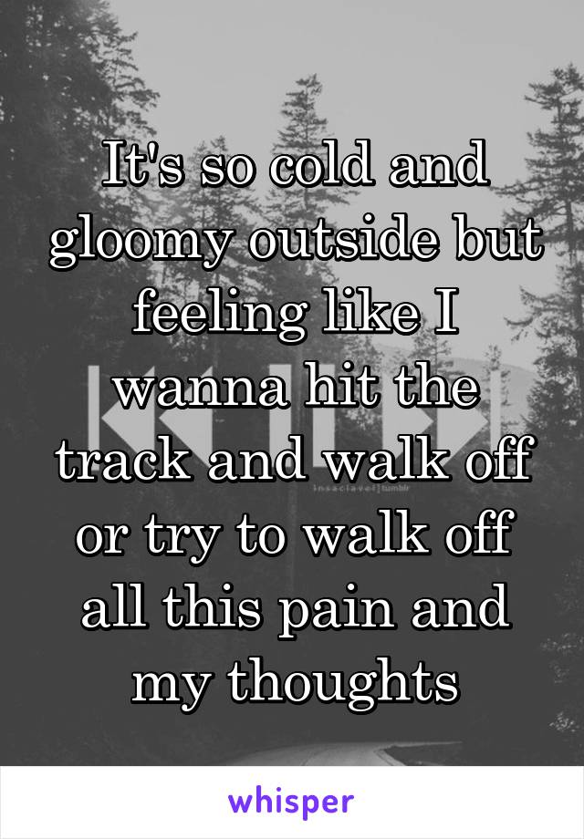 It's so cold and gloomy outside but feeling like I wanna hit the track and walk off or try to walk off all this pain and my thoughts