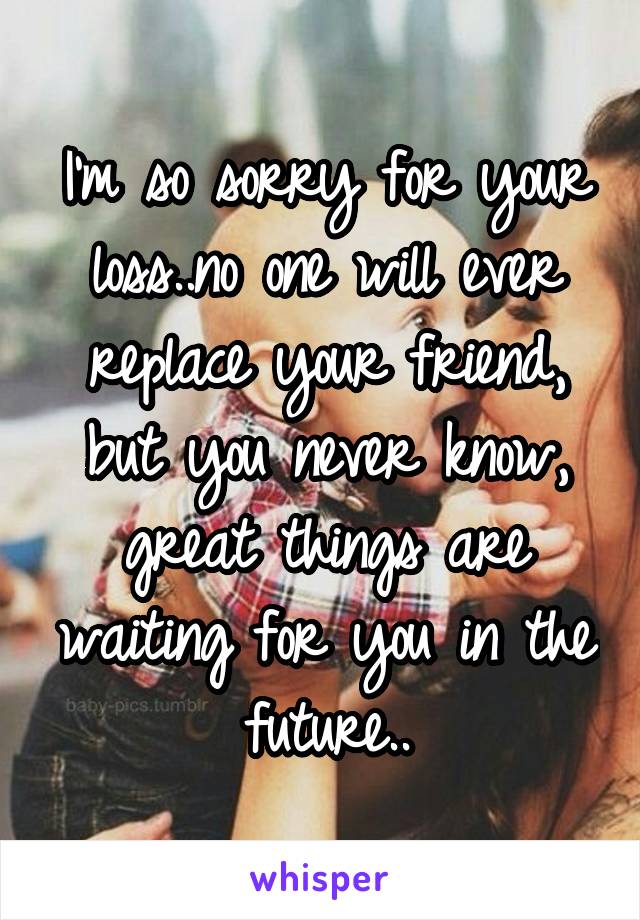 I'm so sorry for your loss..no one will ever replace your friend, but you never know, great things are waiting for you in the future..