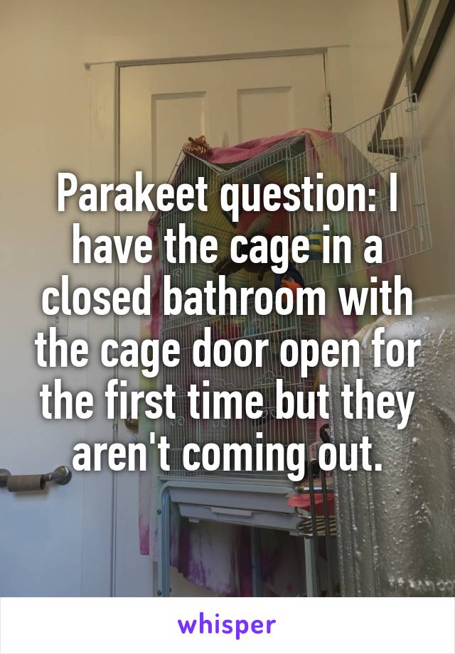 Parakeet question: I have the cage in a closed bathroom with the cage door open for the first time but they aren't coming out.