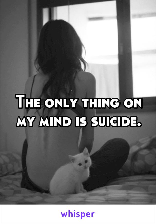 The only thing on my mind is suicide.