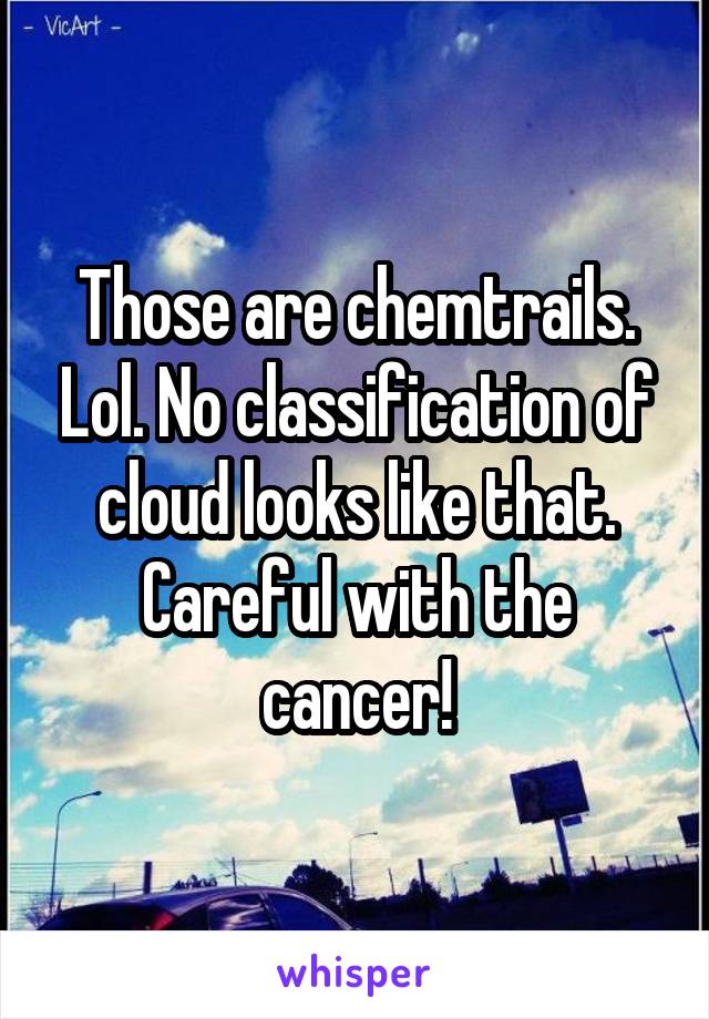 Those are chemtrails. Lol. No classification of cloud looks like that. Careful with the cancer!