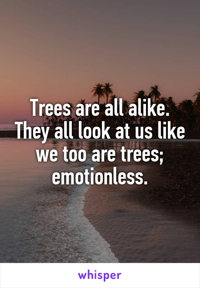 Trees are all alike. They all look at us like we too are trees; emotionless.