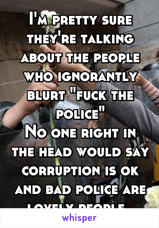 I'm pretty sure they're talking about the people who ignorantly blurt "fuck the police"
No one right in the head would say corruption is ok and bad police are lovely people. 