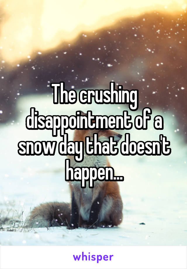 The crushing disappointment of a snow day that doesn't happen...