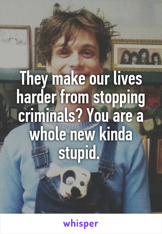 They make our lives harder from stopping criminals? You are a whole new kinda stupid. 