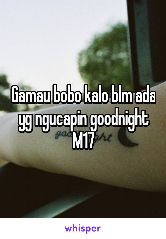 Gamau bobo kalo blm ada yg ngucapin goodnight
M17