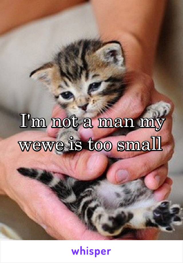 I'm not a man my wewe is too small 