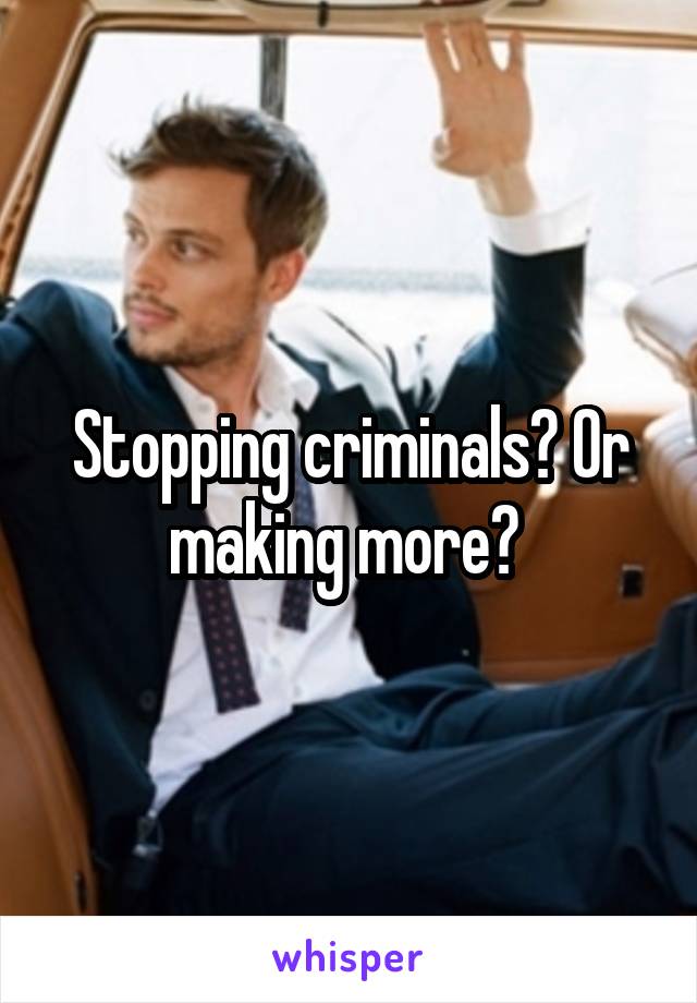 Stopping criminals? Or making more? 