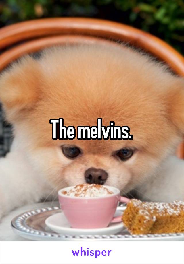 The melvins. 