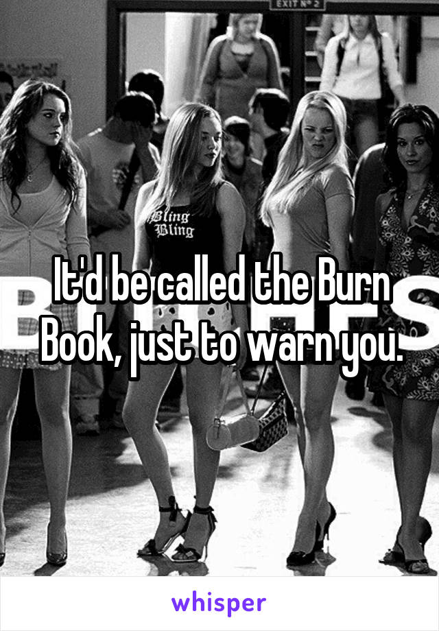 It'd be called the Burn Book, just to warn you.