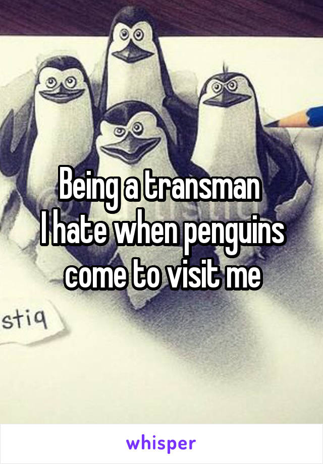 Being a transman 
I hate when penguins come to visit me