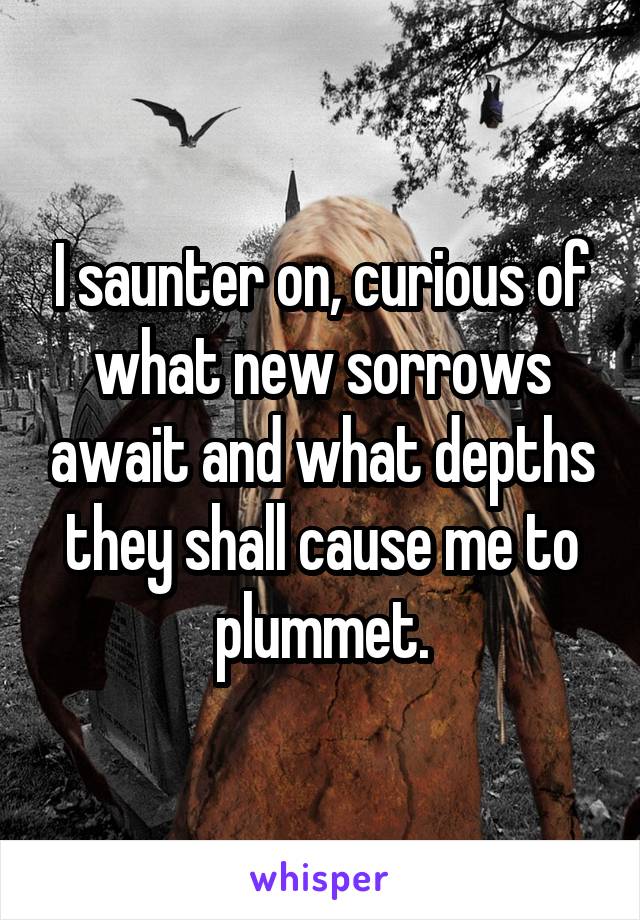 I saunter on, curious of what new sorrows await and what depths they shall cause me to plummet.