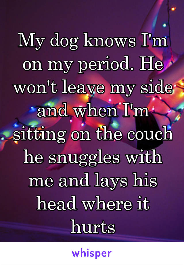 My dog knows I'm on my period. He won't leave my side and when I'm sitting on the couch he snuggles with me and lays his head where it hurts