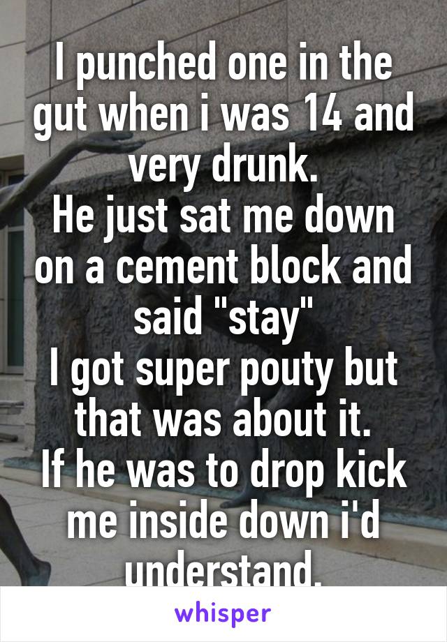 I punched one in the gut when i was 14 and very drunk.
He just sat me down on a cement block and said "stay"
I got super pouty but that was about it.
If he was to drop kick me inside down i'd understand.