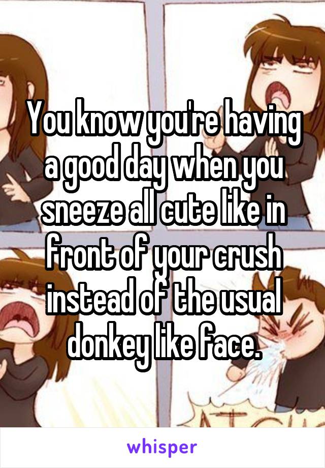 You know you're having a good day when you sneeze all cute like in front of your crush instead of the usual donkey like face.