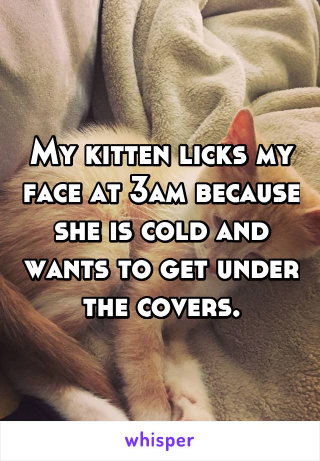 My kitten licks my face at 3am because she is cold and wants to get under the covers.