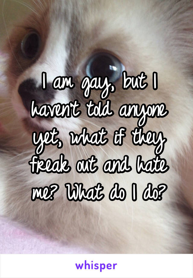 I am gay, but I haven't told anyone yet, what if they freak out and hate me? What do I do?