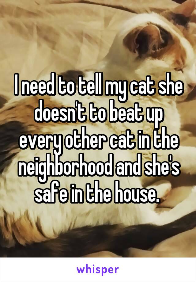 I need to tell my cat she doesn't to beat up every other cat in the neighborhood and she's safe in the house. 