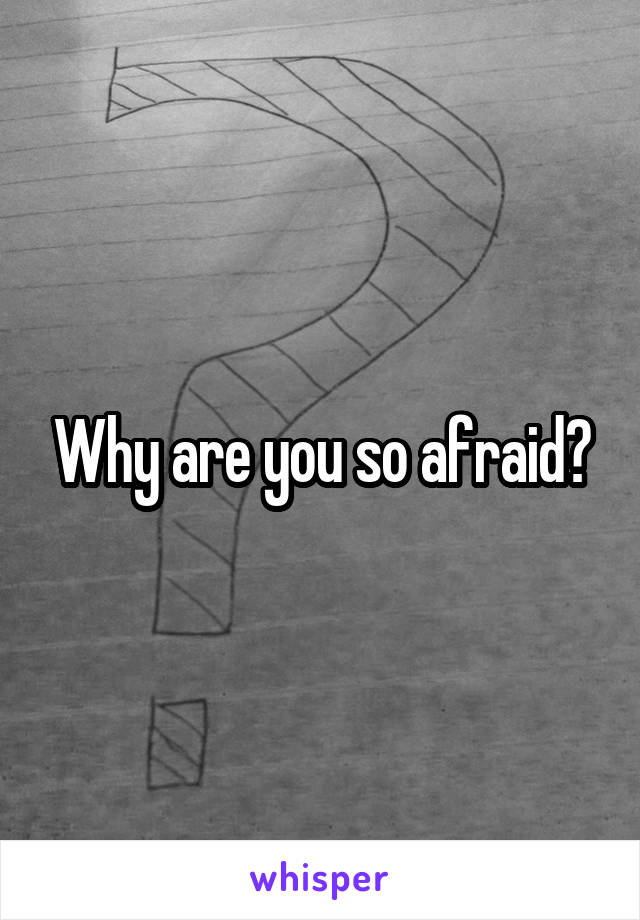 Why are you so afraid?