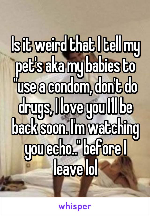 Is it weird that I tell my pet's aka my babies to "use a condom, don't do drugs, I love you I'll be back soon. I'm watching you echo.." before I leave lol