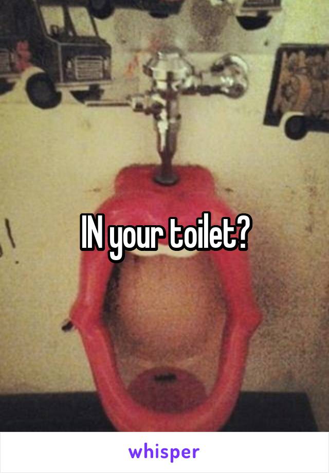 IN your toilet?