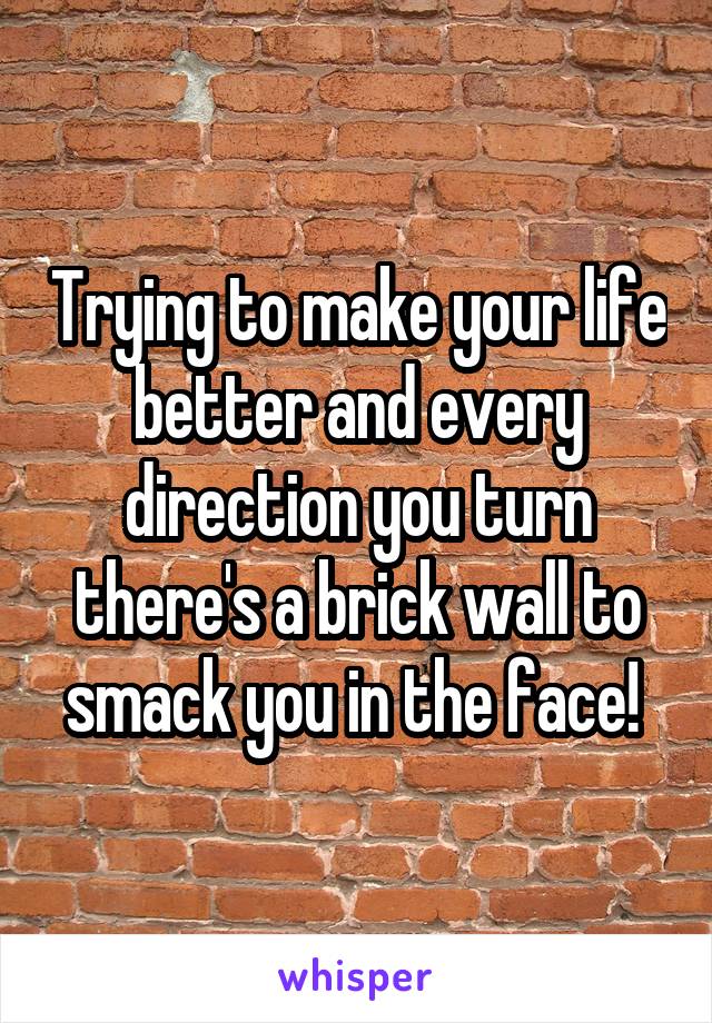 Trying to make your life better and every direction you turn there's a brick wall to smack you in the face! 