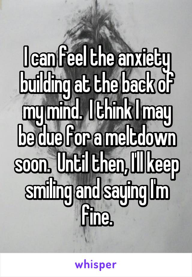 I can feel the anxiety building at the back of my mind.  I think I may be due for a meltdown soon.  Until then, I'll keep smiling and saying I'm fine.