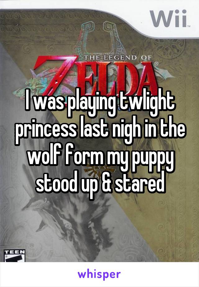 I was playing twlight princess last nigh in the wolf form my puppy stood up & stared