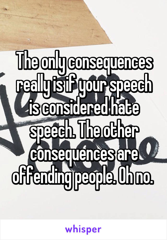 The only consequences really is if your speech is considered hate speech. The other consequences are offending people. Oh no. 