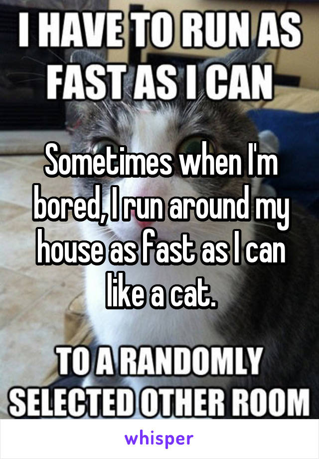 Sometimes when I'm bored, I run around my house as fast as I can like a cat.