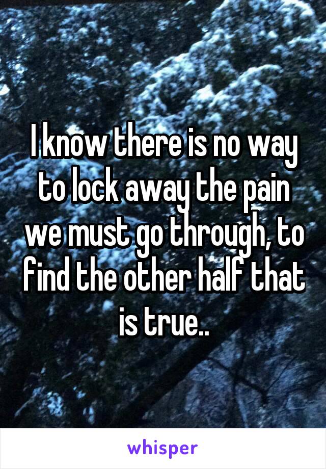 I know there is no way to lock away the pain we must go through, to find the other half that is true..