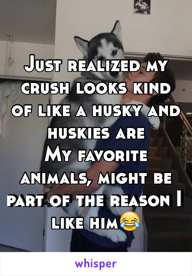 Just realized my crush looks kind  of like a husky and huskies are
My favorite animals, might be part of the reason I like him😂