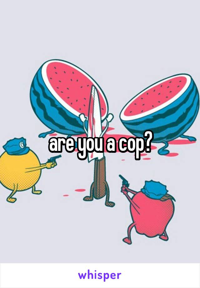 are you a cop?