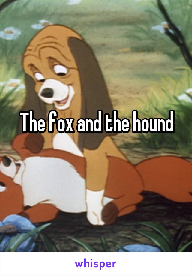 The fox and the hound
