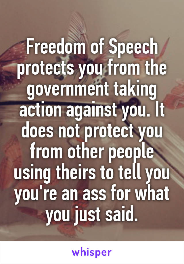 Freedom of Speech protects you from the government taking action against you. It does not protect you from other people using theirs to tell you you're an ass for what you just said.