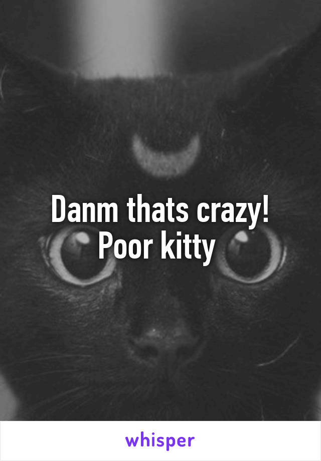 Danm thats crazy! Poor kitty 