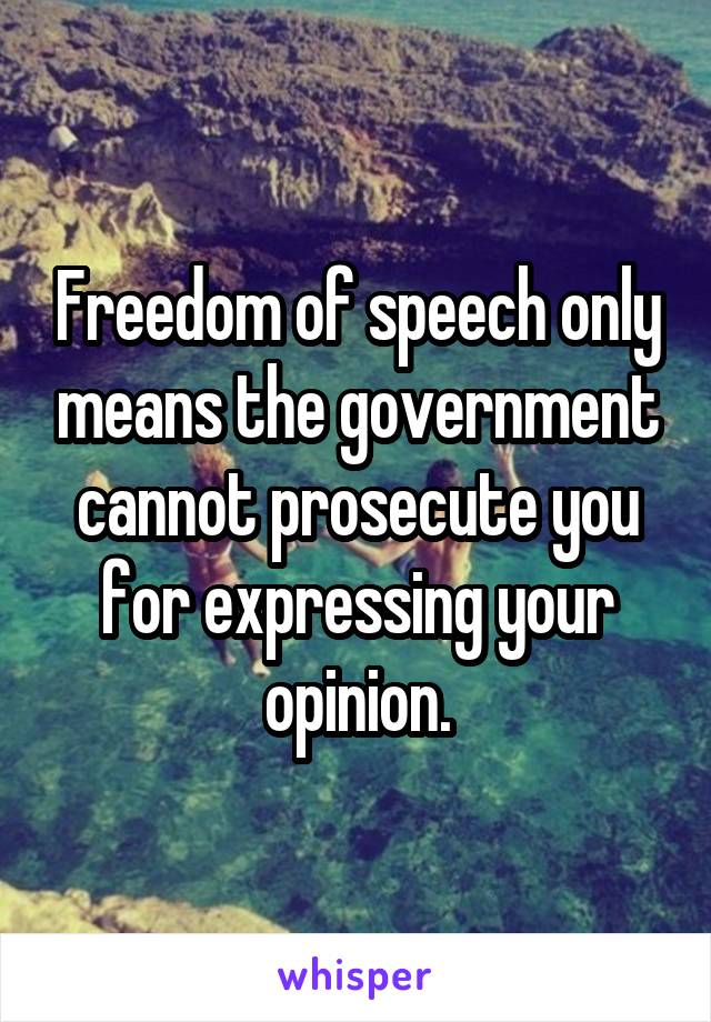 Freedom of speech only means the government cannot prosecute you for expressing your opinion.