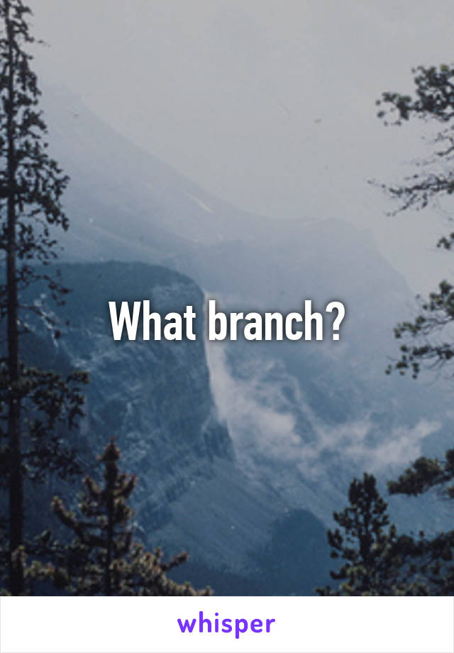 What branch?