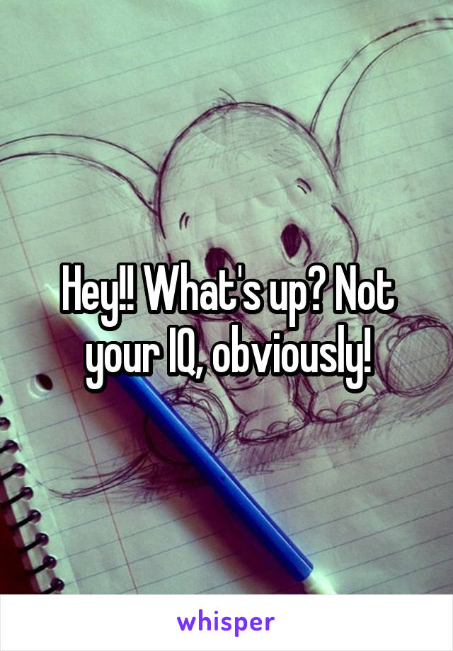 Hey!! What's up? Not your IQ, obviously!