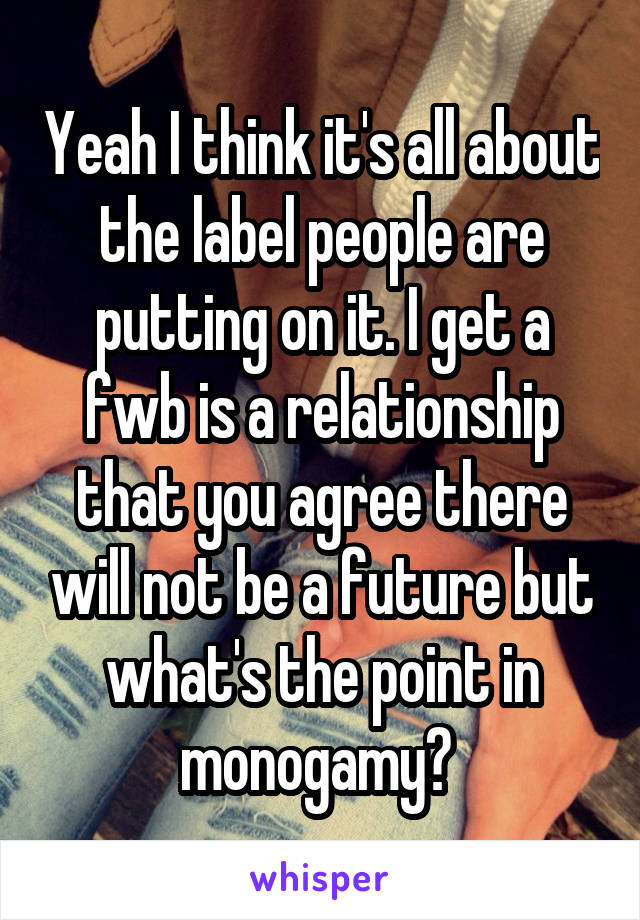 Yeah I think it's all about the label people are putting on it. I get a fwb is a relationship that you agree there will not be a future but what's the point in monogamy? 