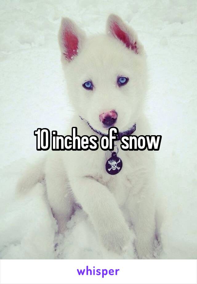 10 inches of snow 