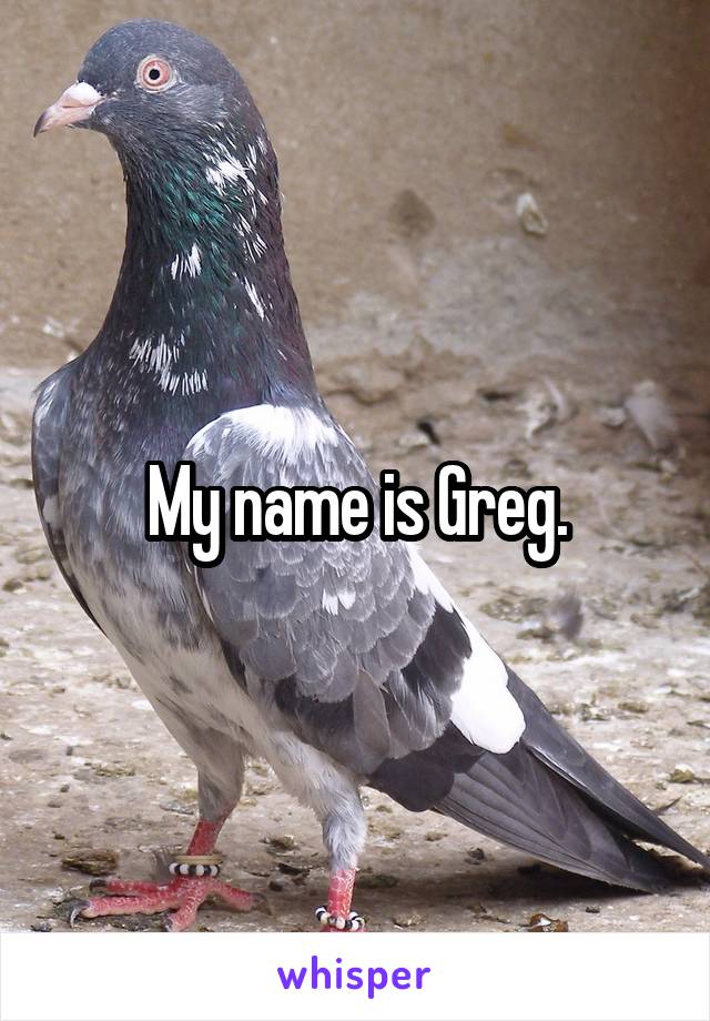 My name is Greg.