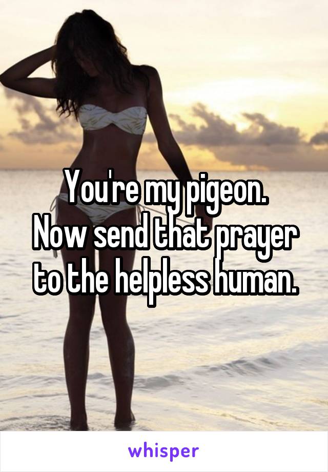 You're my pigeon.
Now send that prayer to the helpless human.